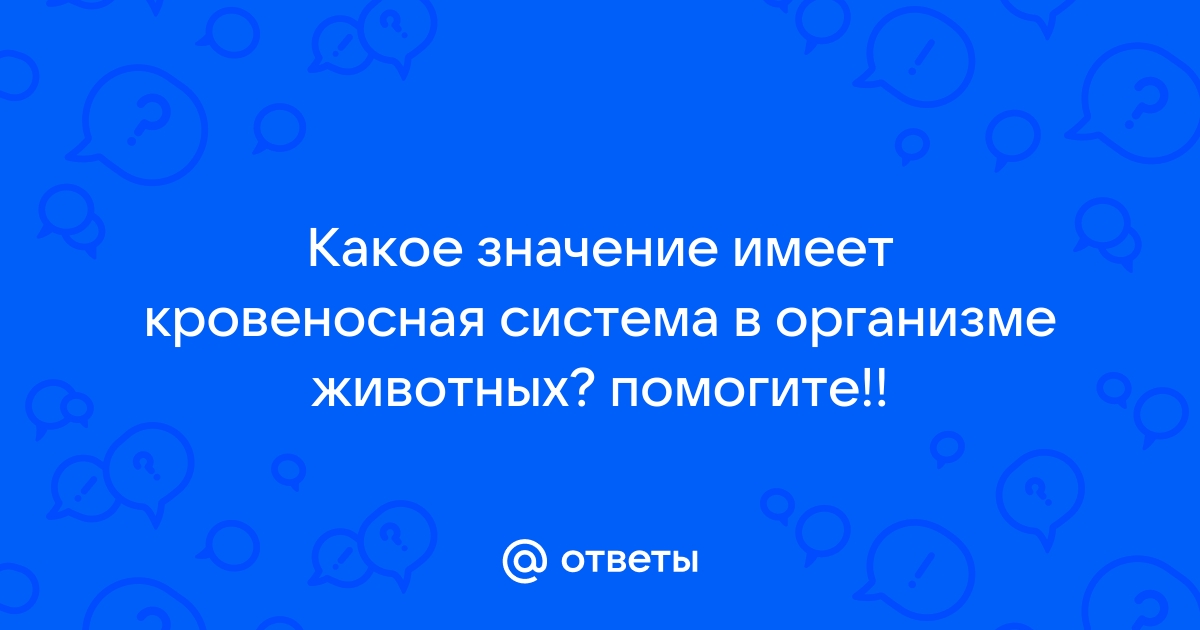 Какое значение имеет организация самп