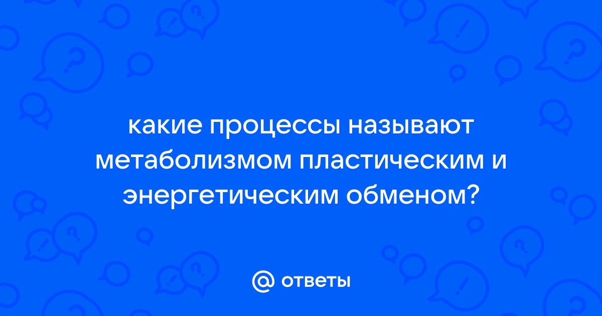 Кроссворд пластический и энергетический обмен