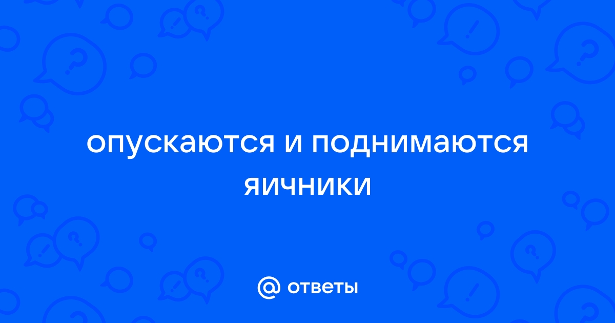 Перекрут яичка: что это? Причины, признаки, симптомы и лечение заболевания