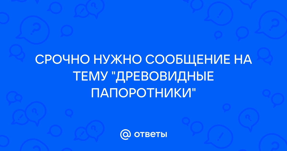 Сообщение на тему что такое опера