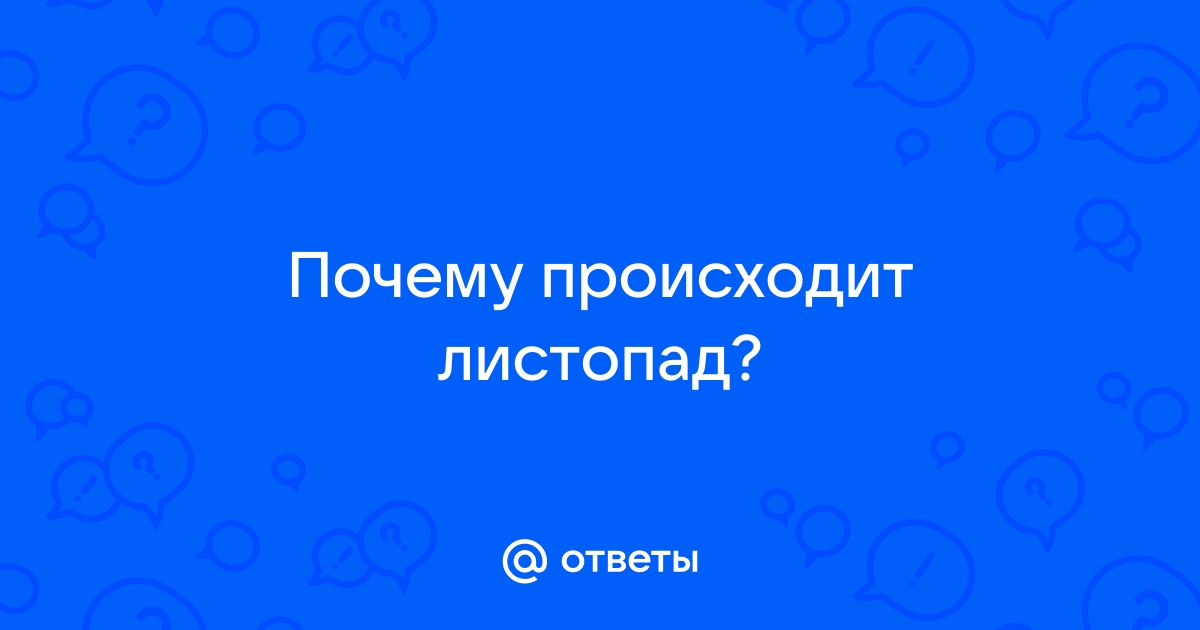 За счет чего появляются красивые виды осенью. Листопад - значение и роль.