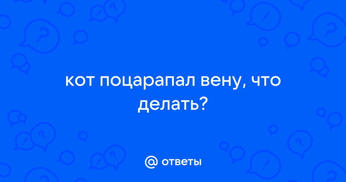 Что делать если кот поцарапал обои