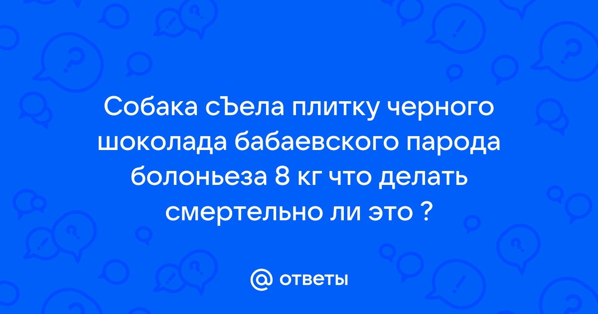 Собака съела плитку шоколада что делать