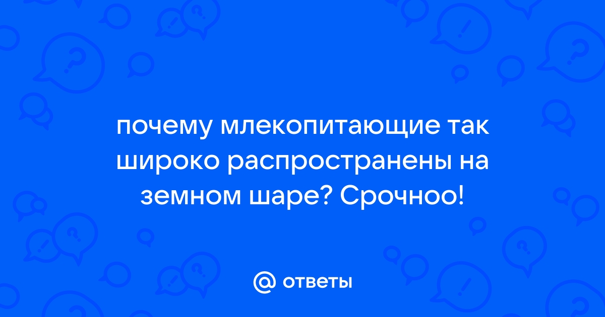 ранняя ступень эволюции млекопитающих животное | Дзен