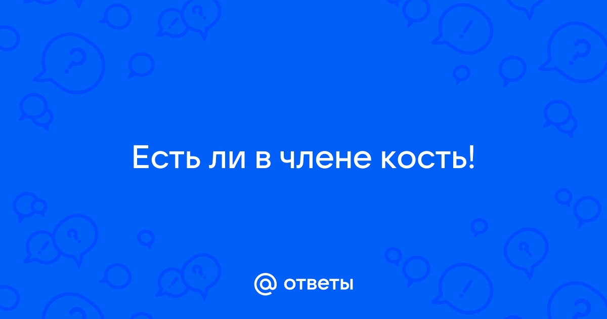 Ученые: В потере кости в половом члене у мужчин виноваты женщины