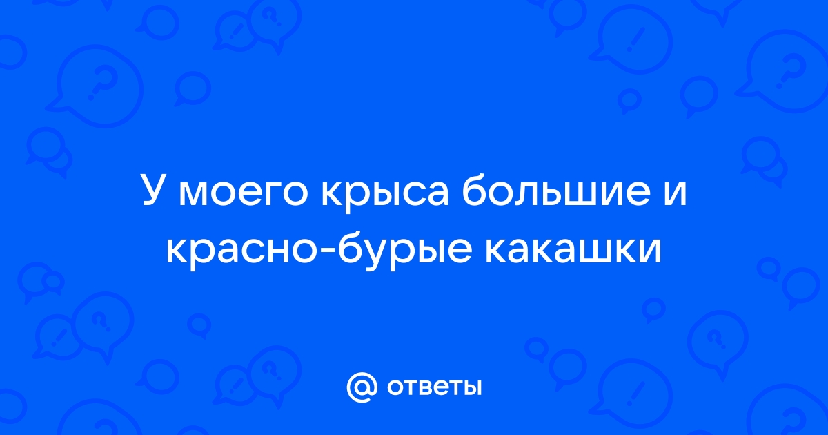 Ответы цветы-шары-ульяновск.рф: Какие должны быть какашки крыс?