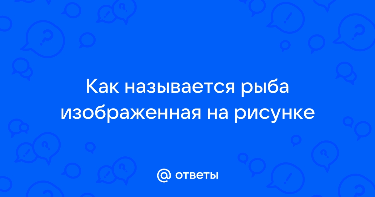 Изображенная на рисунке муфта называется