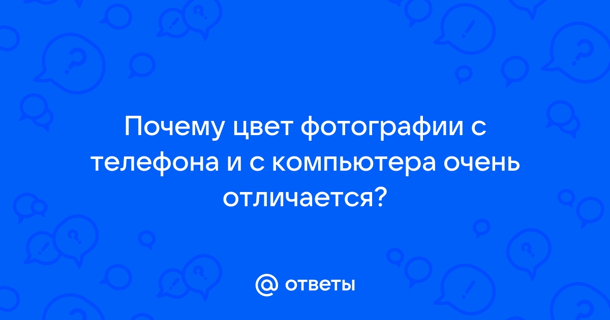 Распознать цветок по фото сделанной на смартфон без установления приложения