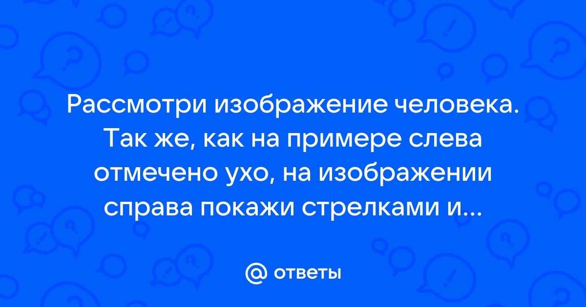 Рассмотри изображение человека покажи стрелками и подпиши