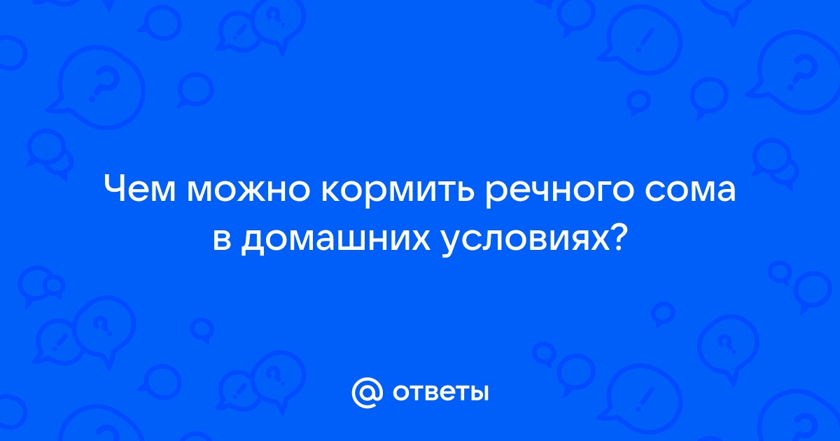 Чем кормить аквариумных сомиков: основы правильного рациона