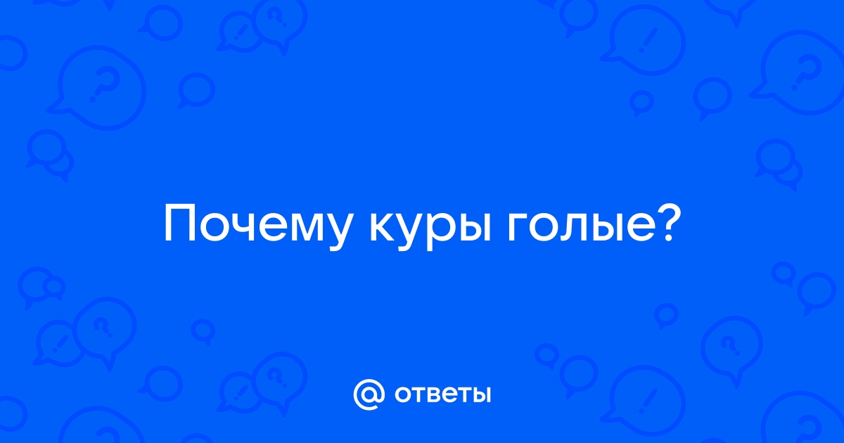 Домашние куры - Общие вопросы по куриным - Форумы arakani.ru - все о птицах