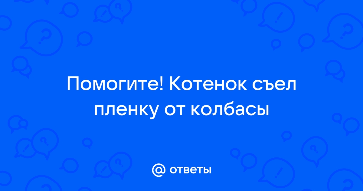 Кот съел пищевую пленку