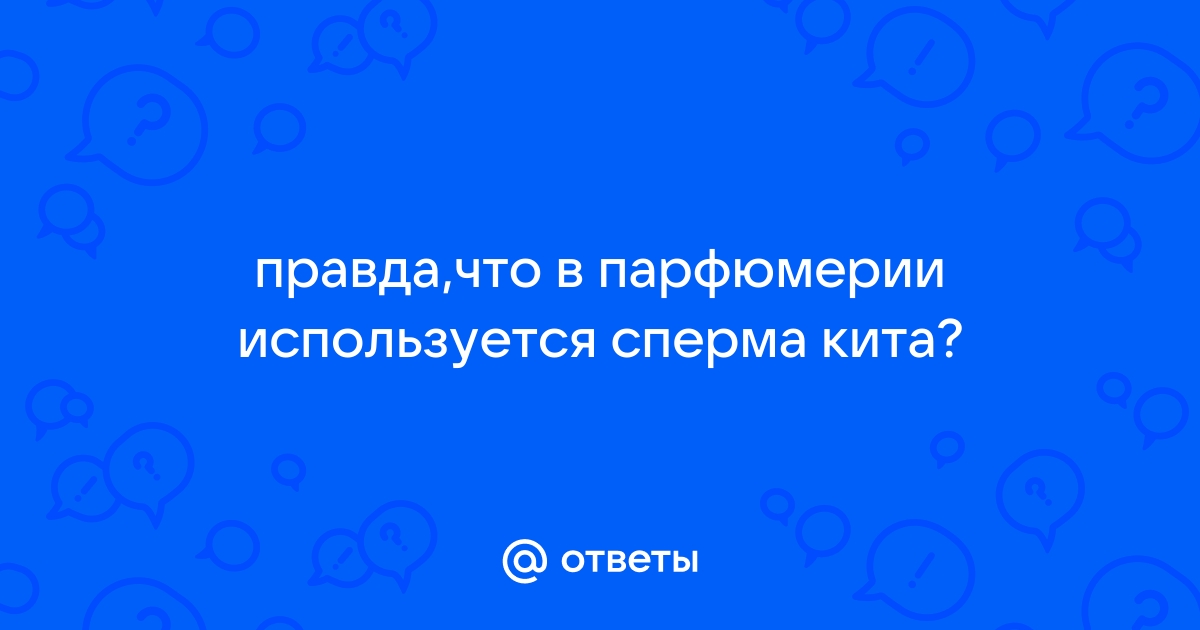 Когда киты в Доминикане? Сезон горбатых китов