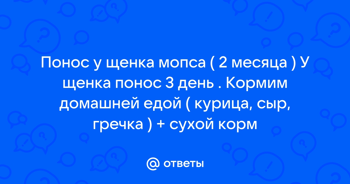 Жидкий стул у щенка 2 месяца что делать