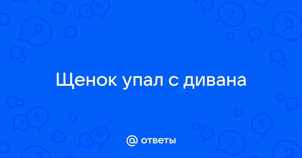 Новорожденный щенок упал с дивана