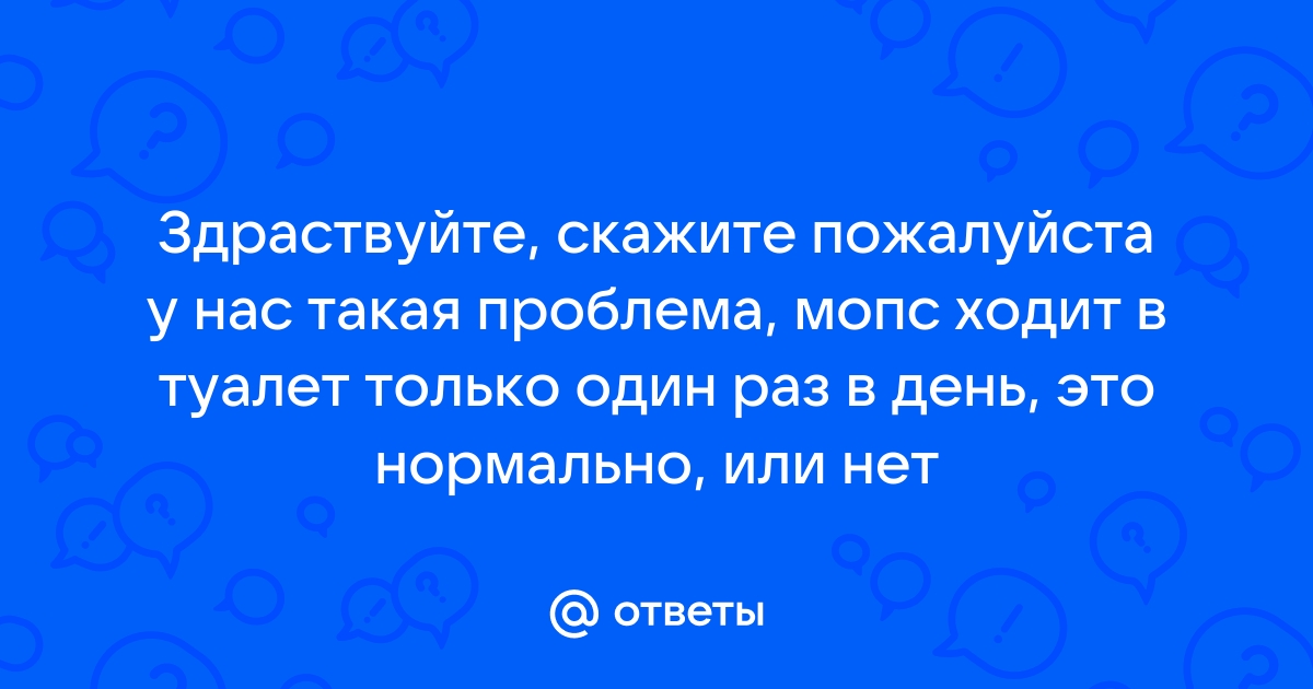 Стул 2 раза в день у взрослого это нормально или нет