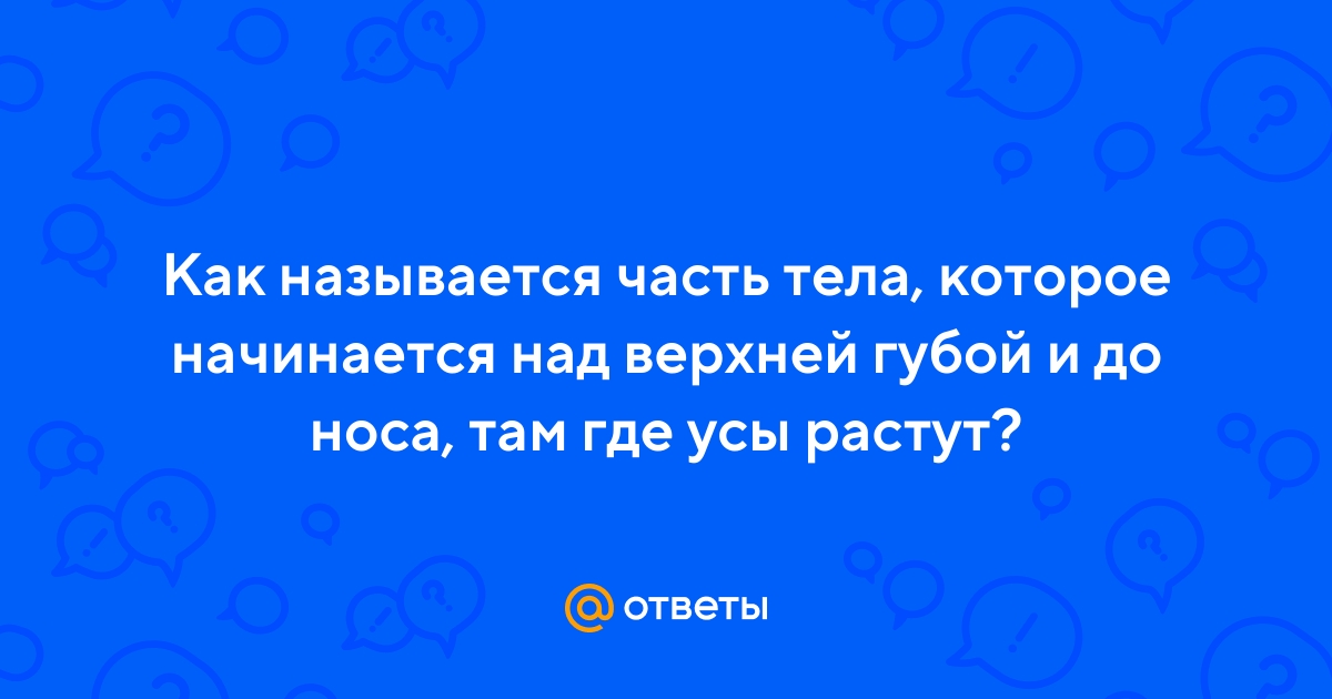 Ответы Mail.ru: Как называется часть тела, которое начинается над верхней  губой и до носа, там где усы растут?