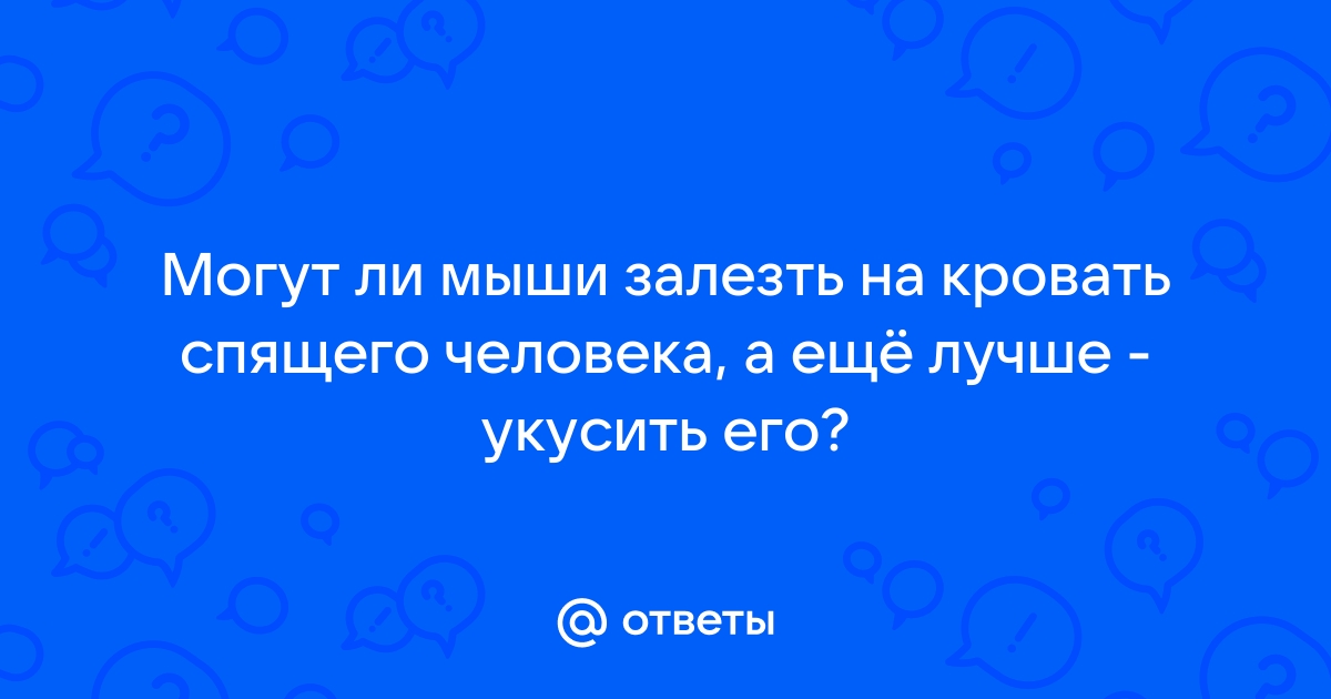 Может ли мышь залезть на кровать к спящему человеку