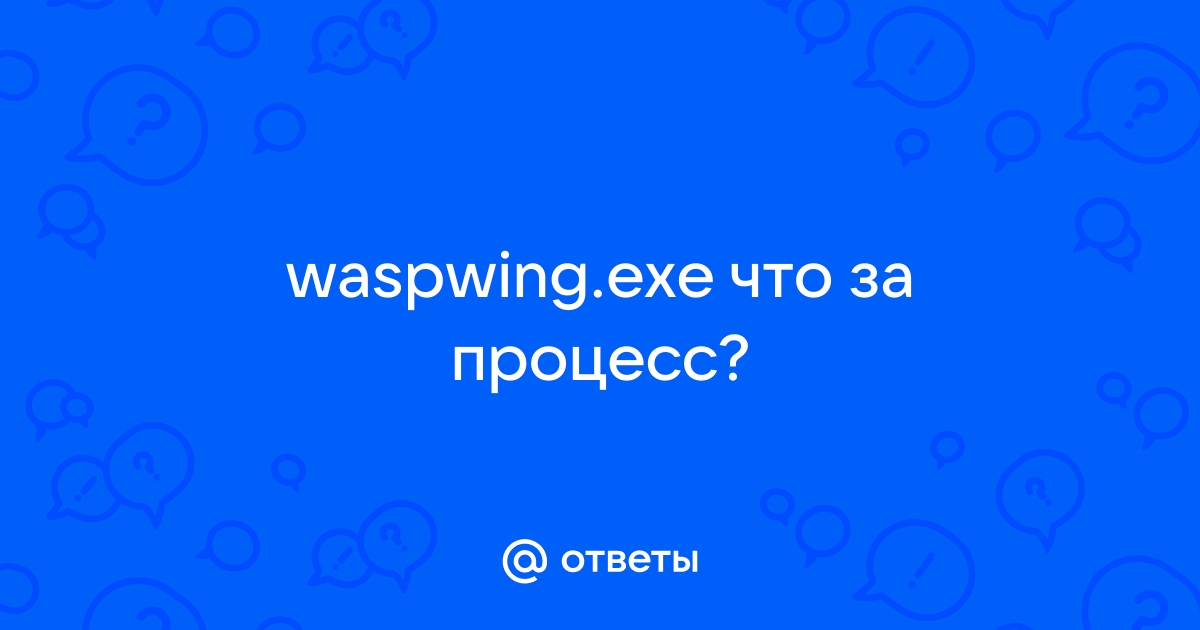 Waspwing exe что это за файл