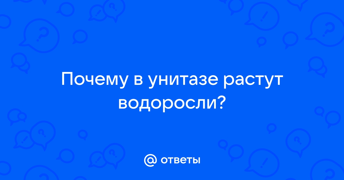 Водоросли в унитазе растут почему