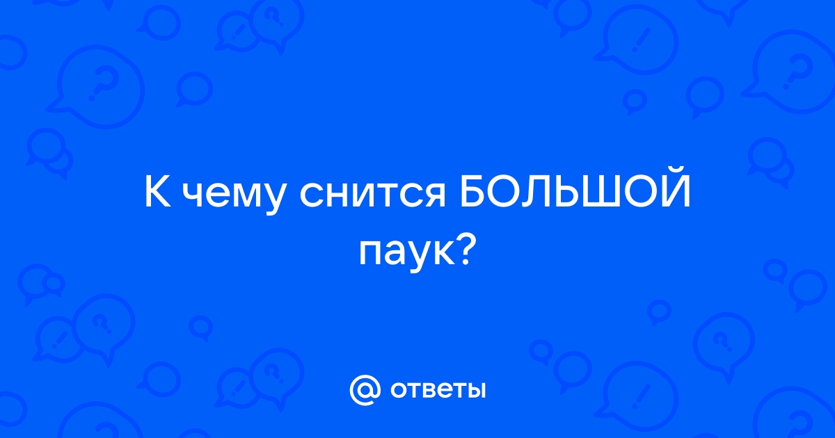 Сонник — к чему снится сеть