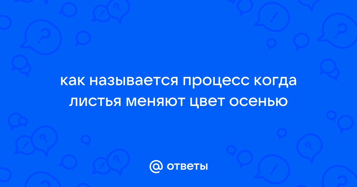 Исследовательская работа