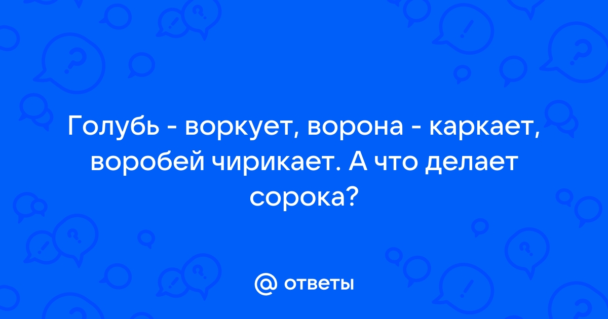 Чирикает а каркает