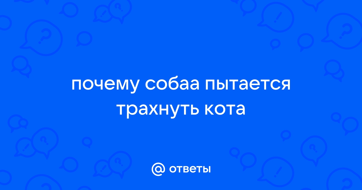 Идеи на тему «Ебать утро» (10) | кошачьи цитаты, веселые мемы, мемы