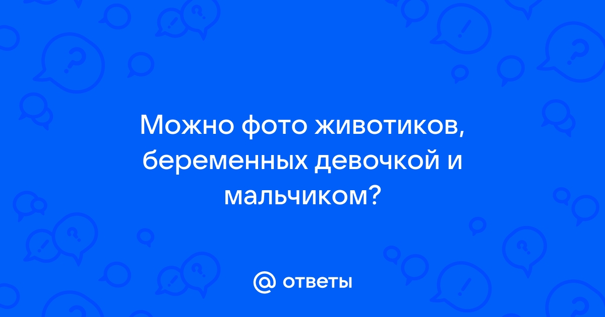 У кого какой формы был живот при беременности девочкой?