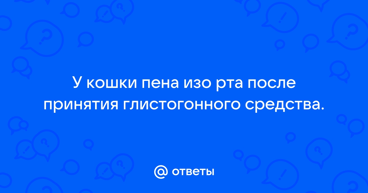 Почему у кошки идет пена изо рта?