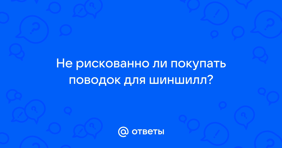 Шлейка для шиншиллы своими руками: 10 крутых фото и 4 выкройки