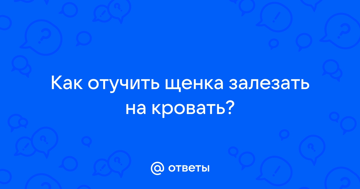 Как отучить щенка залазить на кровать