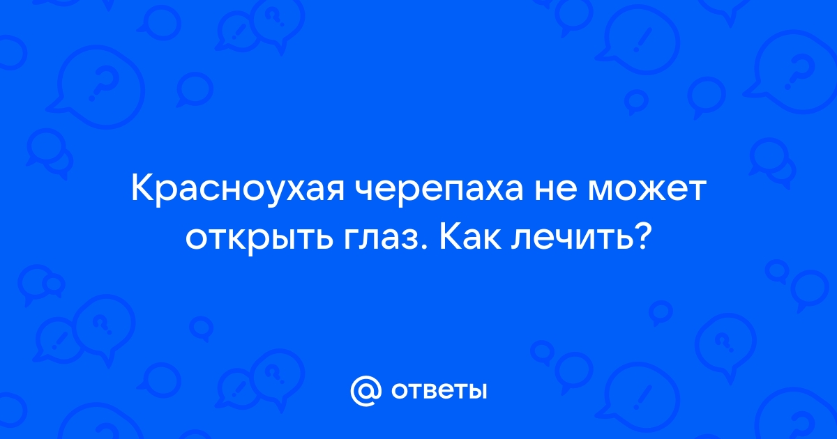 Блефароконъюнктивит у черепах