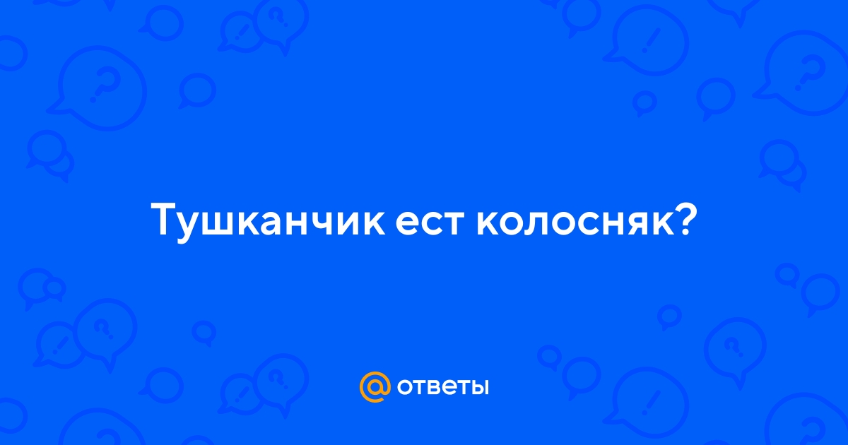 Ответы Mail.ru: Тушканчик ест колосняк?