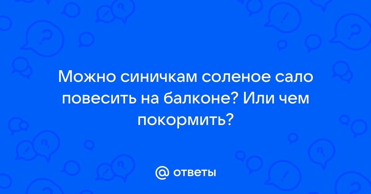 Новости - Как помочь синичкам