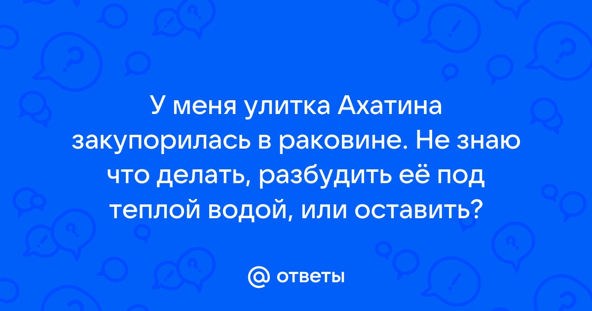 Что делать если улитка ахатина закупорилась в раковине и не вылазиет