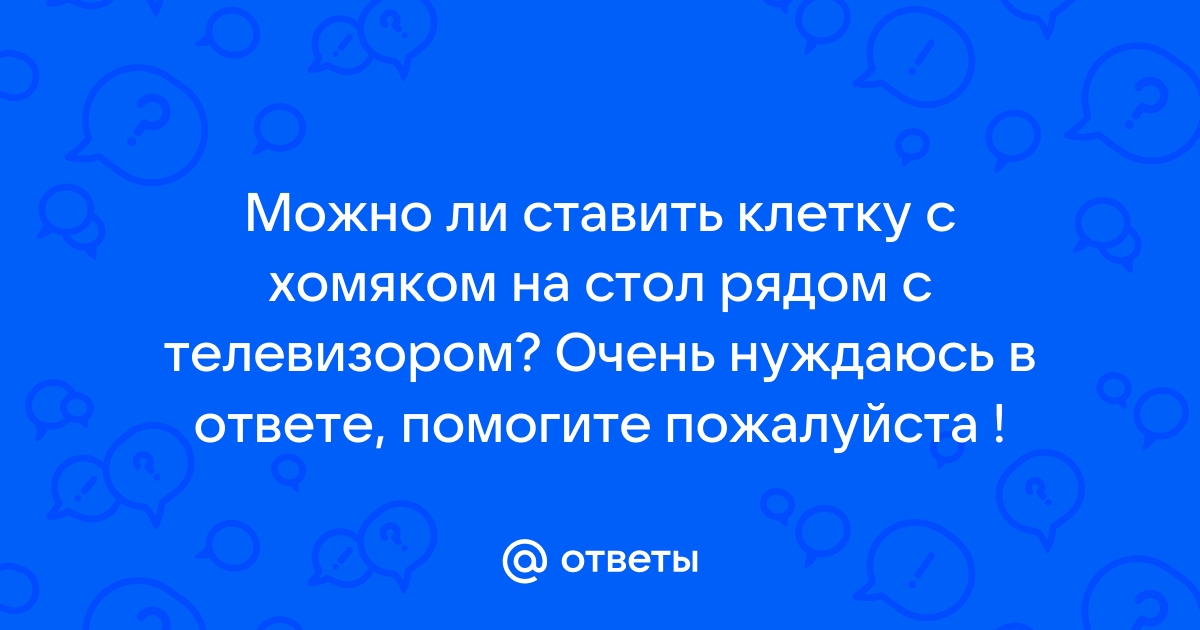 Можно ли ставить клетку с попугаем возле компьютера