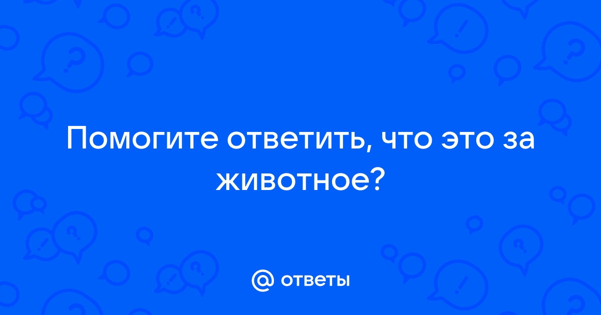 Что ответить перекупу