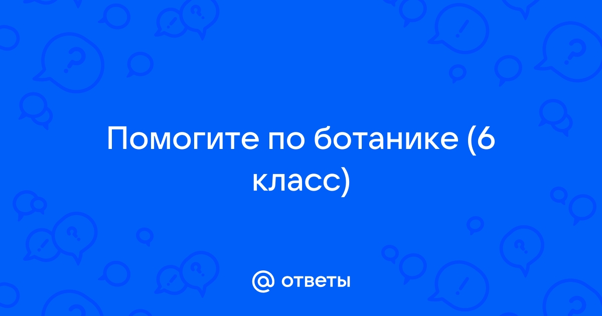 Проект по ботанике 6 класс