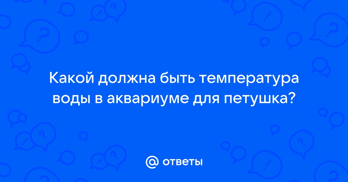 температура воды в аквариуме для петушка