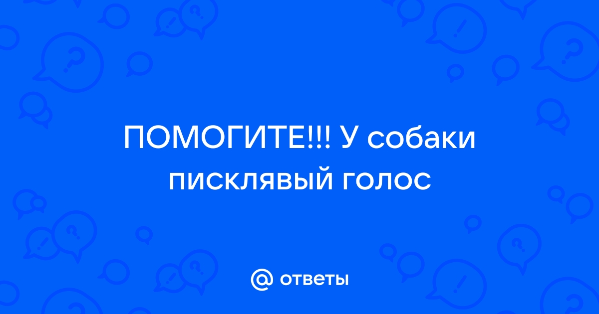 У собаки пропал голос – причины и лечение