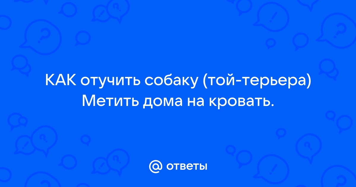 Как отучить собаку метить на кровать