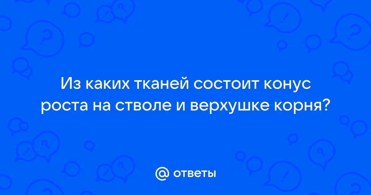 Общие сведения о яблоне. Строение. Жизнь.