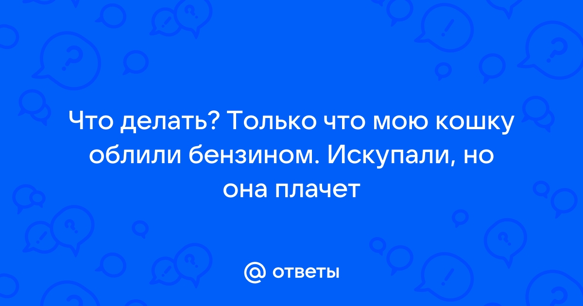 Бензин: итоги проверки, и что делать, если вам залили фальсификат | Спецпроекты от Роскачества