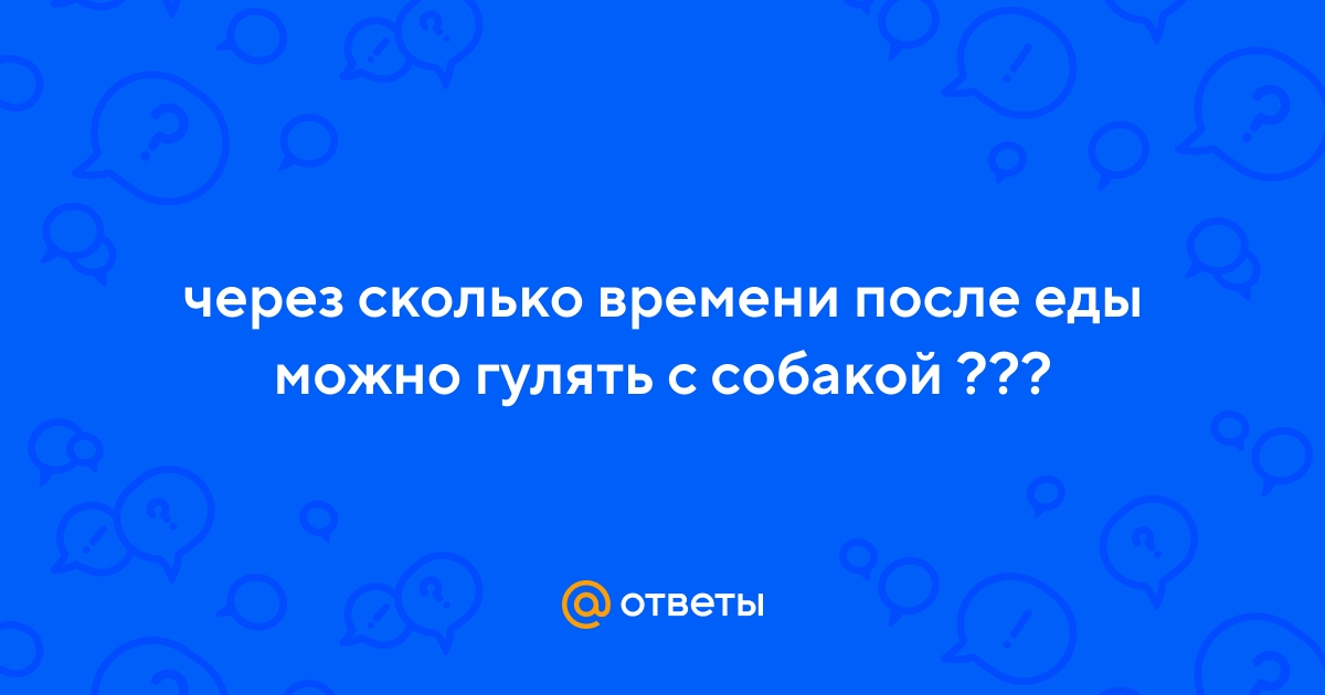 Ответы Mail.ru: через сколько времени после еды можно гулять с собакой ???