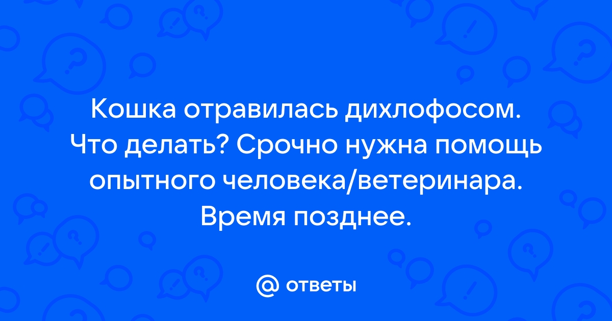 Что делать с домашними животными во время обработки от насекомых?