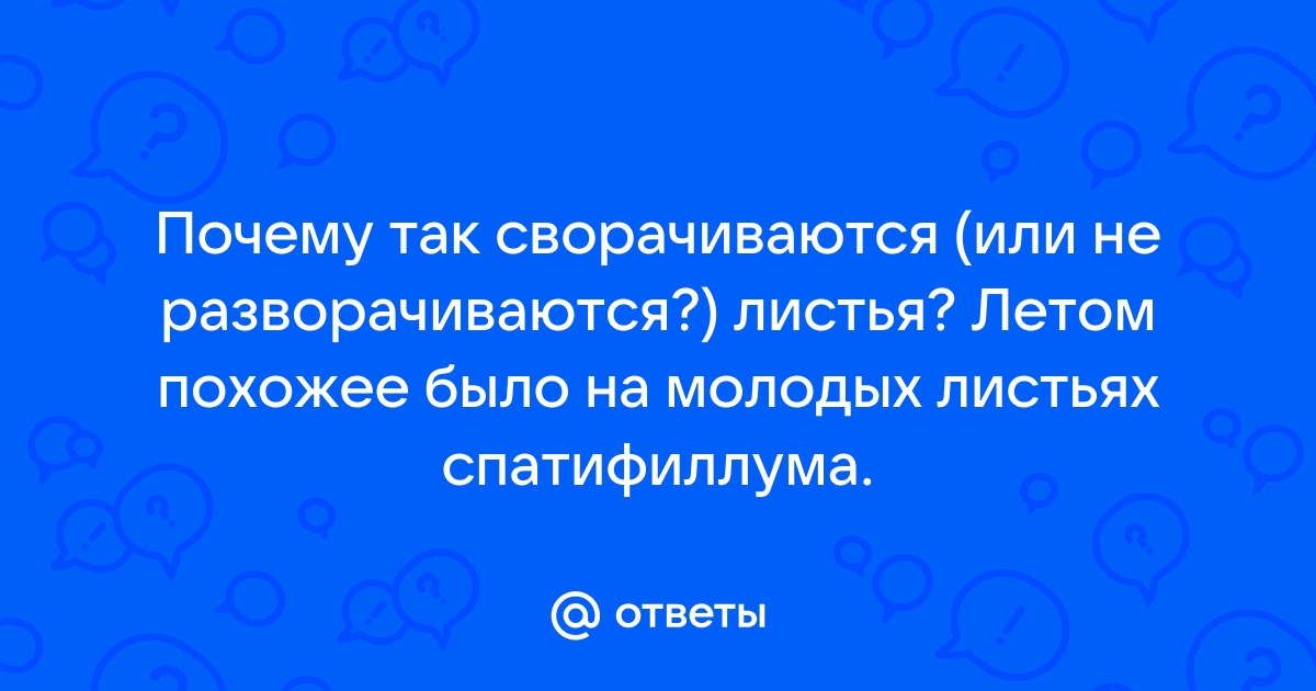 Полноэкранные приложения сворачиваются и не разворачиваются