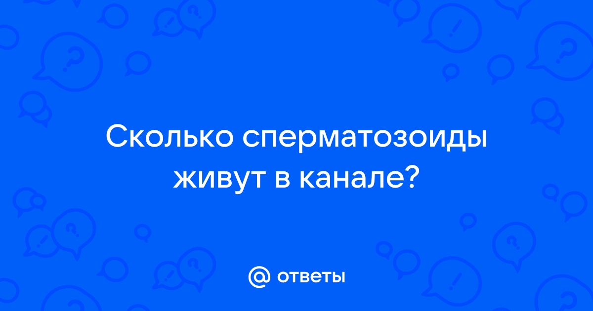 Как долго сперма живет на воздухе? А в банке и на простыне?