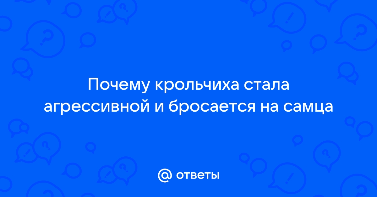 Особенности поведения кроликов