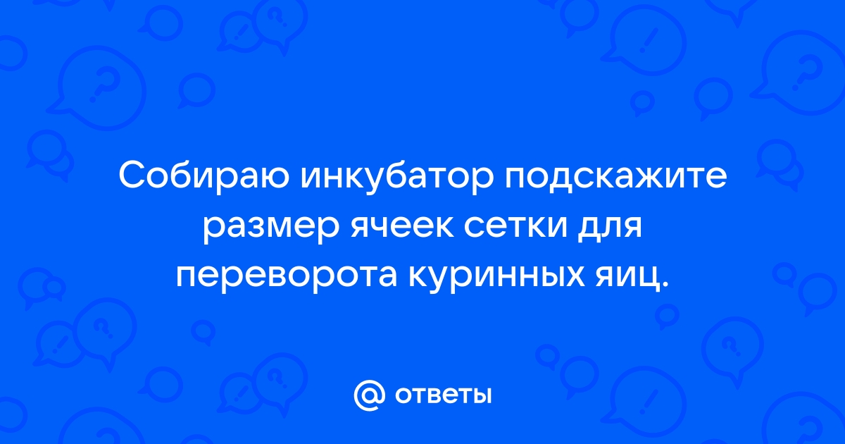 Решетка для перепелиных яиц к инкубатору БЛИЦ купить в Москве